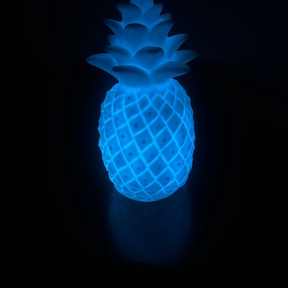 Light Up Pineapple Decor - Picture 9 of 9
